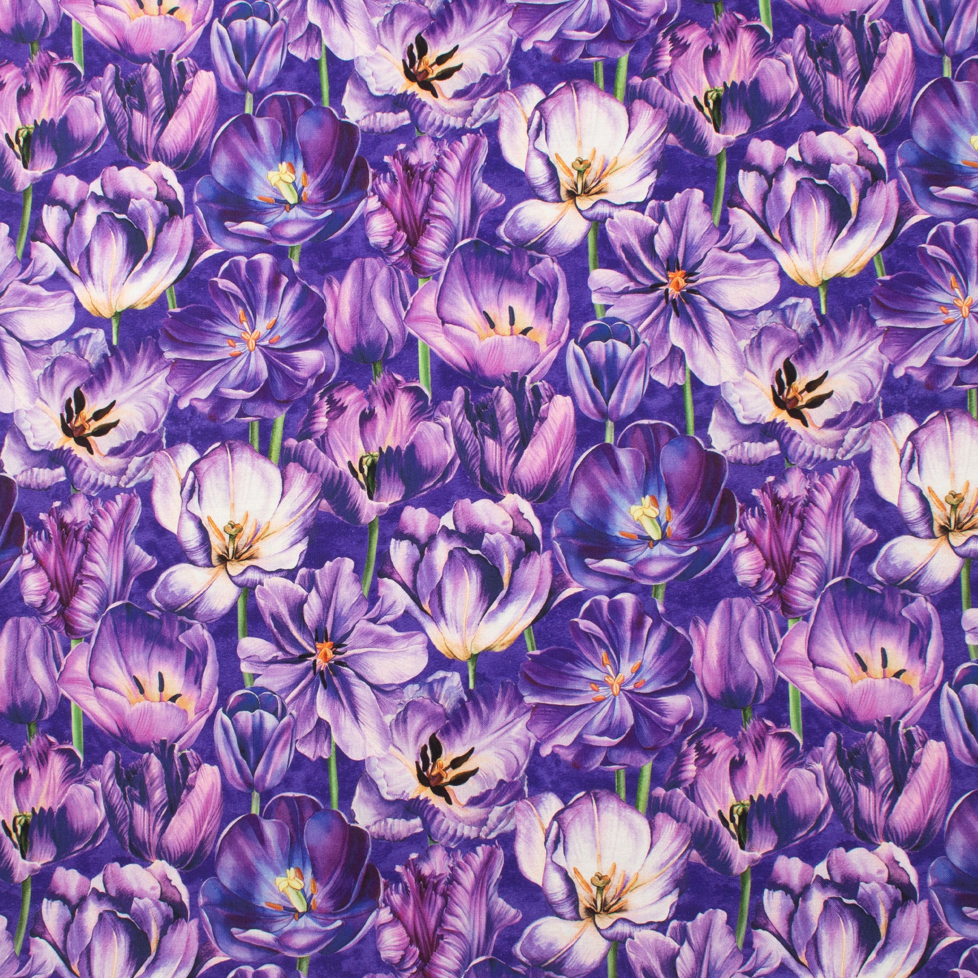 Northcott - Printed Cotton - TULIP GARDEN - 007 - Purple