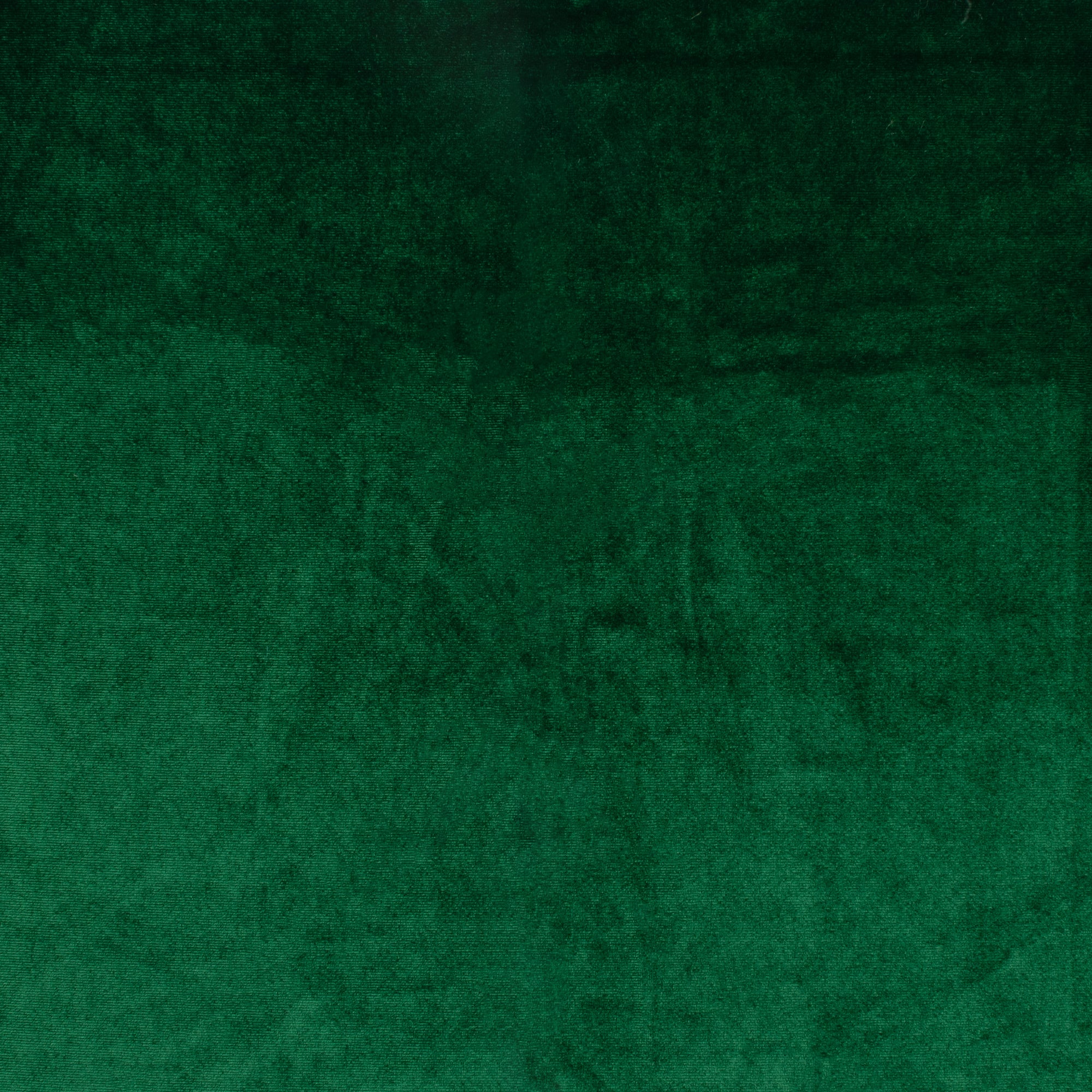 Stretch Velvet - Green 2